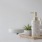 tray of towels, soap pump bottle and potted succulent in bathroom